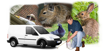 Lytham St Annes local van